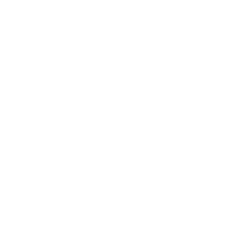 MiniGO